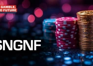 $NGNF：从一首歌到一个模因社区——探索模因文化的兴起