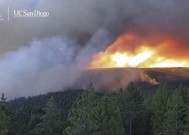 前所未有的全球高温引发了美国和欧洲的大规模野火